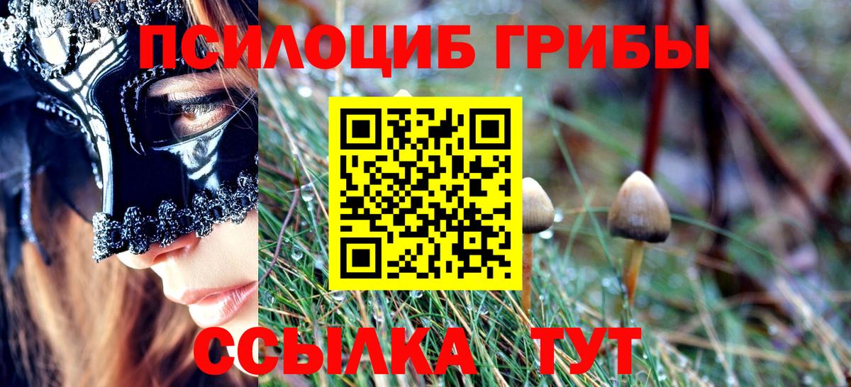 Галлюциногенные грибы Magic Shrooms  Вход с VPN  Новосибирск 